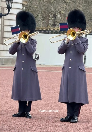 Well…they never disappoint 💂🏽🎺 #trombone #tromboneplayer #musician | trombone