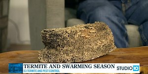 E3 Termite and Pest Control