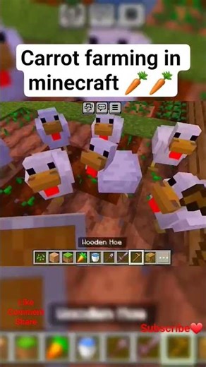 Carrot Farming in minecraft🥕#minecraft #ytshorts #shorts #gaming #minecrafter #explore #trending