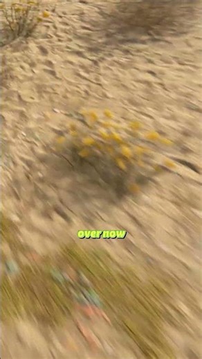 gg.. looks like my time in rust is over… #rust #rustgame #rustshorts