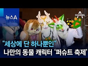 “세상에 단 하나뿐인”…나만의 동물 캐릭터 ‘퍼슈트 축제’ | 뉴스A