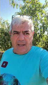 Today on your channel, a very interesting pruning video of a two-year-old nectarine tree, don't m...