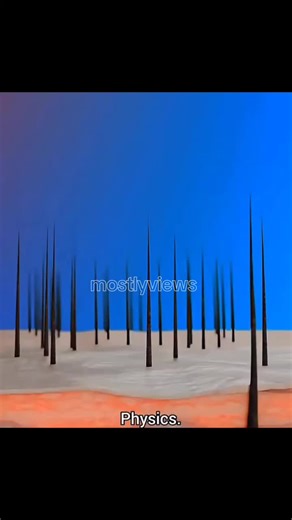 Home Improvement Projects in Mechanical Engineering