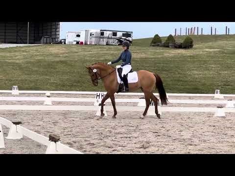 Jenna Brown & Flexi - 2023 USEF Training Level Test 2