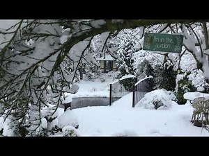 Pt 16: How to build a Japanese tea house - The Shoji doors