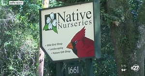 We're Open, Tallahassee: Native Nurseries celebrates 40 years of gardening, landscaping in Big Bend area