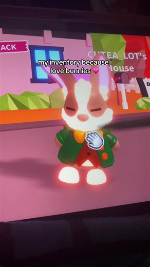 Bunny Love: Showcasing My Adorable Bunny Inventory