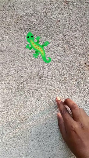 Chú tắc kè màu sắc đẹp quá #gecko #kucing #animal#tắc_kè #bebek #tokek #kucinglucu