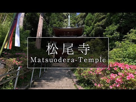 バラが綺麗な日本最古の厄除け霊場「松尾寺」｜奈良観光コンシェルジュが大和郡山市のお寺をご紹介：Matsuodera-Temple in Yamato Koriyama City｜Nara