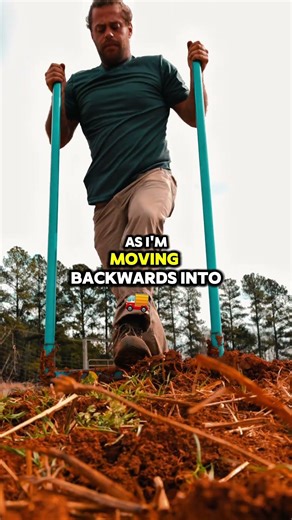 The Gardener's Secret Weapon for Perfect Beds