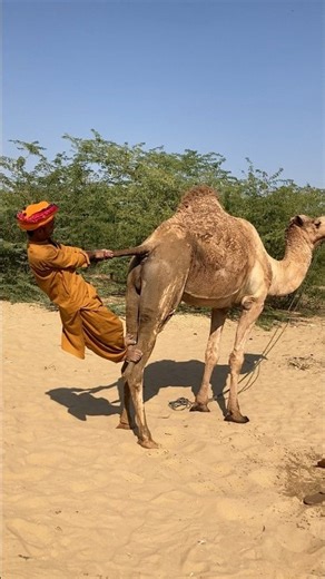 Why is this boy having so much fun hanging upside down?