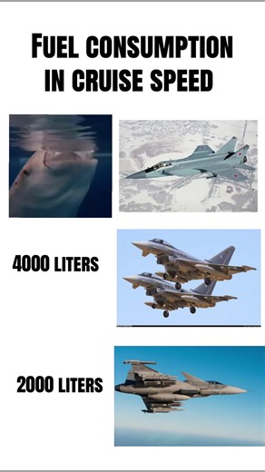 MIG 31 chuggs 12000 liters per hour in his cruise speed. Inspo: pietschmann.aviation #airforce #militarylife #eurofighter #gripen #mig The Mikoyan MiG-31 (Russian: Микоян МиГ-31; NATO reporting name: Foxhound) is a supersonic interceptor aircraft developed for the Soviet Air Forces by the Mikoyan design bureau as a replacement for the MiG-25