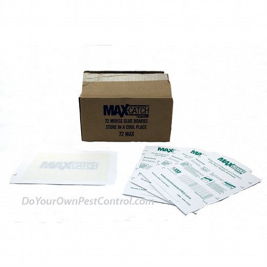 Catchmaster 72 Max-Catch Mouse Glue Boards
