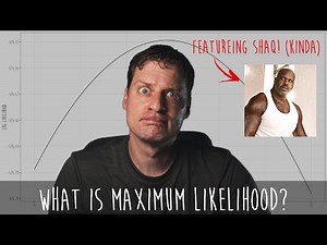 Optimization Algorithms and Maximum Likelihood