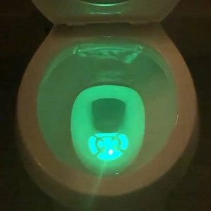 This light-up toilet target trains the boy (or man) in your life to aim right 🎯🚽 | In The Know Innovation