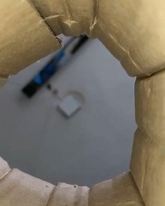 Hello 🐈 | Travel the World