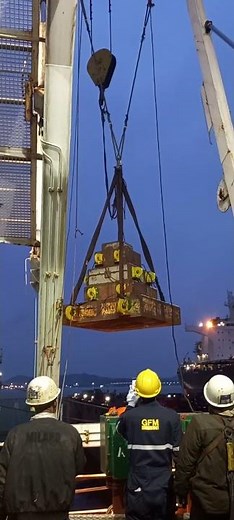 Freefall Lifeboat Load Test Goes Intense #LifeboatTest #DavitCrane #MaritimeSafety #LoadTest