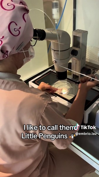 Understanding Cryopreservation for Embryo Storage