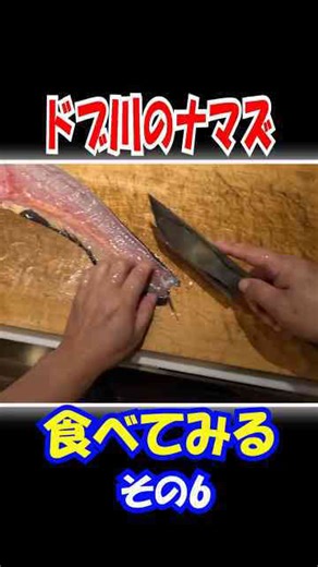 予想以上に多くの疑問を投げかける、都市河川での漁獲事例 パート6