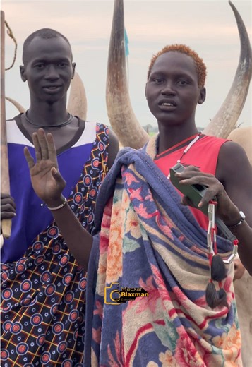 The Cultural Significance of Cattle in South Sudan