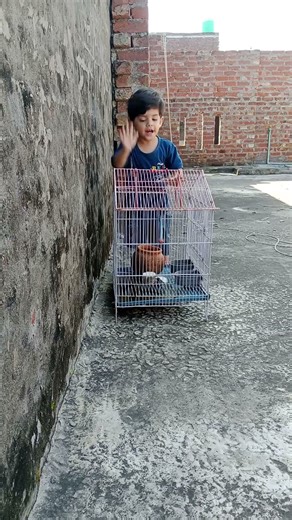 cleverbaby#cutebaby#viralbaby#viralvideo