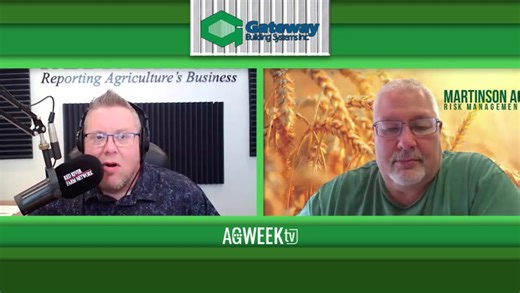 Cattle market rising, grains market holds breath for incoming report