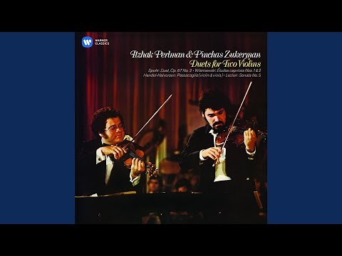 Duo Concertante in D Major, Op. 67 No. 2: I. Allegro