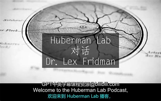 Huberman Lab《驾驭冲突、寻找目标与保持动力｜Dr. Lex Fridman[20221128]》中英字幕
