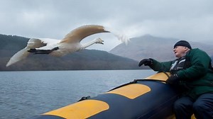 David Attenborough's Conquest of the Skies 3D - Alchetron, the free social encyclopedia