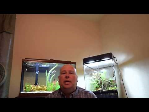 Eco-Bio-Block Review