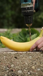 How to Use Bananas as Natural Fertilizer for Your Plants | Science, Tech and Universe