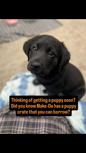 Thinking of getting a puppy one day? MAKE-DO Library of Things has a...