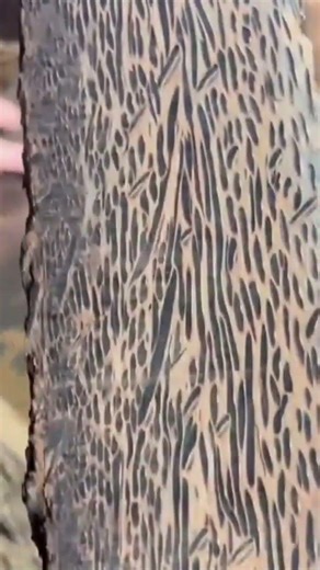 Cutting a textured brown wooden log precisely using a professional electric table saw machine tool