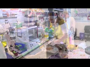 Shriners Hospitals for Children: Leaders in Research