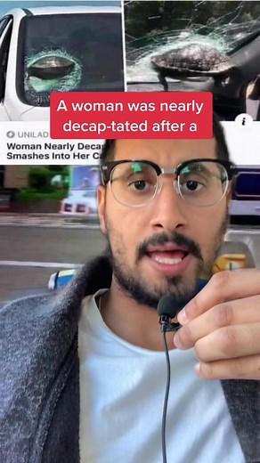 Flying Turtle Meme: When Reality Meets Comedy