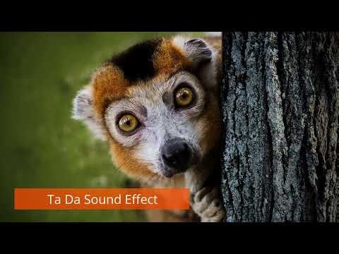 Ta Da Sound Effect