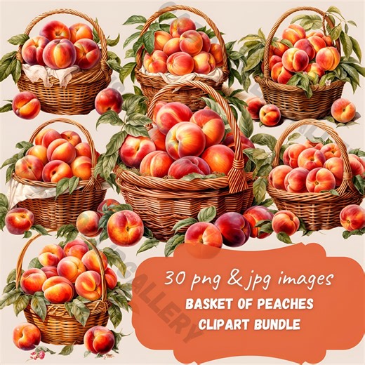 Peach Watercolor Clipart, Fruit Basket PNG Graphics (digital Download) - Etsy