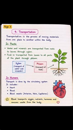 📚 Class 10 Science Chapter 5 – Life Processes | Complete Revision in Easy Notes ✨