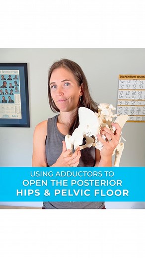 445 reactions · 13 comments | The adductor magnus is a large muscle...