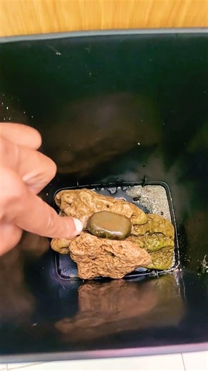 How to lower the pH of your aquarium #aquarium #aquariumkeeping #aquascape