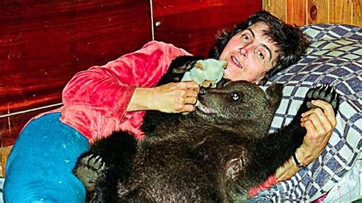 Un-bear-lievable! The mother who brought home wild bear and raised it as part of the family