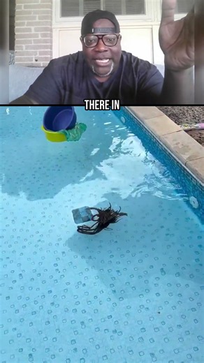 There's An Alien Swimming In This Pool