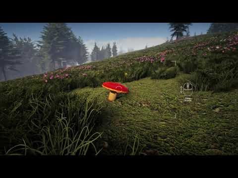 Forager's Finds Reveal Trailer