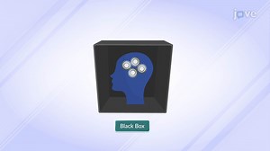 Video: Black Box Model