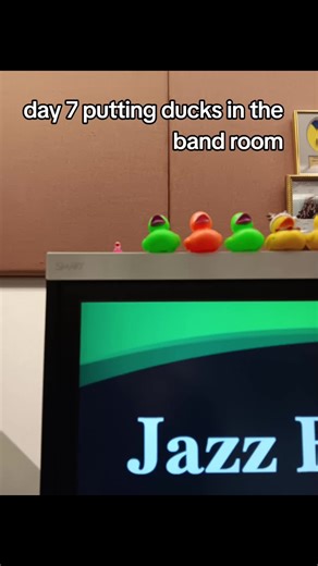 #blowthisup #bandkids #bandkidsbelike #fyp #band | Ducks
