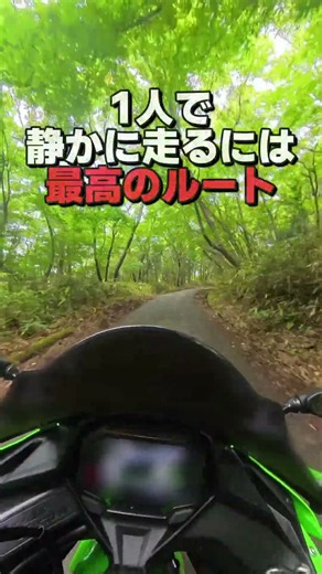 【茨城】あなたならこの林道、走ってみたい？【ZX-4RR】