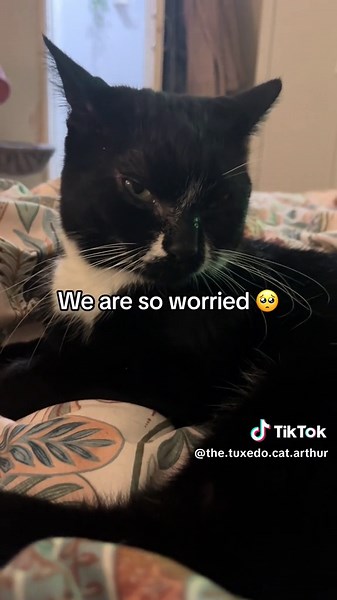 Arthur&HisMums on TikTok