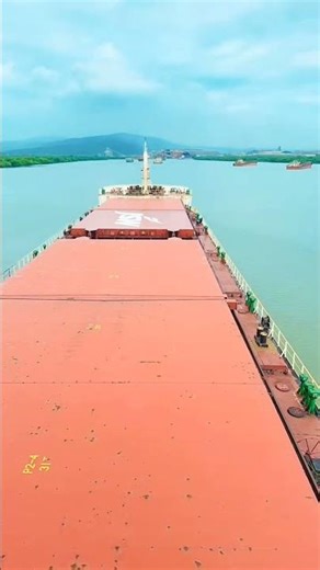 Not everyone can do this safely ⚓ | Ship docking POV #Shorts