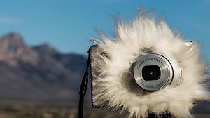 Stop Wind Noise on Your Camera with a $2 DIY 'Dead Cat' Windscreen
