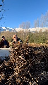 769 reactions · 77 shares | Behind the scenes in Mets Sariar!Planting trees, creating change. | Armenia Tree Project | Facebook